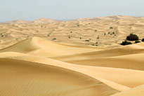 Desert Dubai Mioulane MAP NPM 90180670