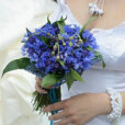 Blue Wedding Flowers