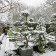 Jardin hiver neige Mioulane MAP NPM 850369027