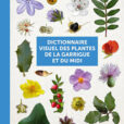 Dictionnaire Garrigue Couv