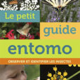 Le petit guide Entomo