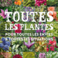 Toutes les plantes vignette