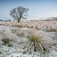 Campagne neige hiver