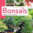 Bonsaïs