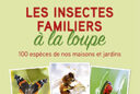 Les insectes familiers à la loupe