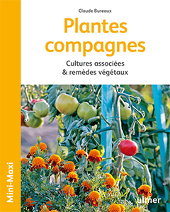 Plantes compagnes