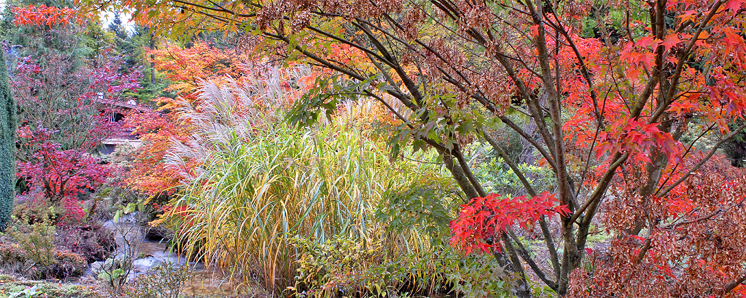 bannière automne